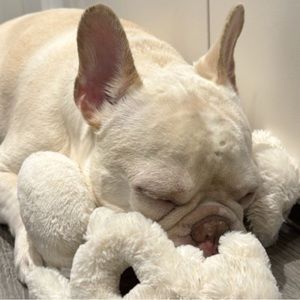 Meet your Posher, Tran